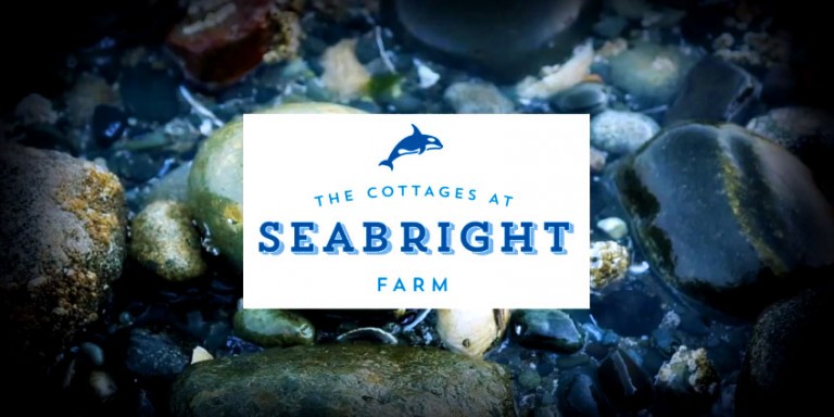 Seabright Farm Cottages video